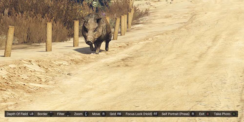 gta-online-desert-road