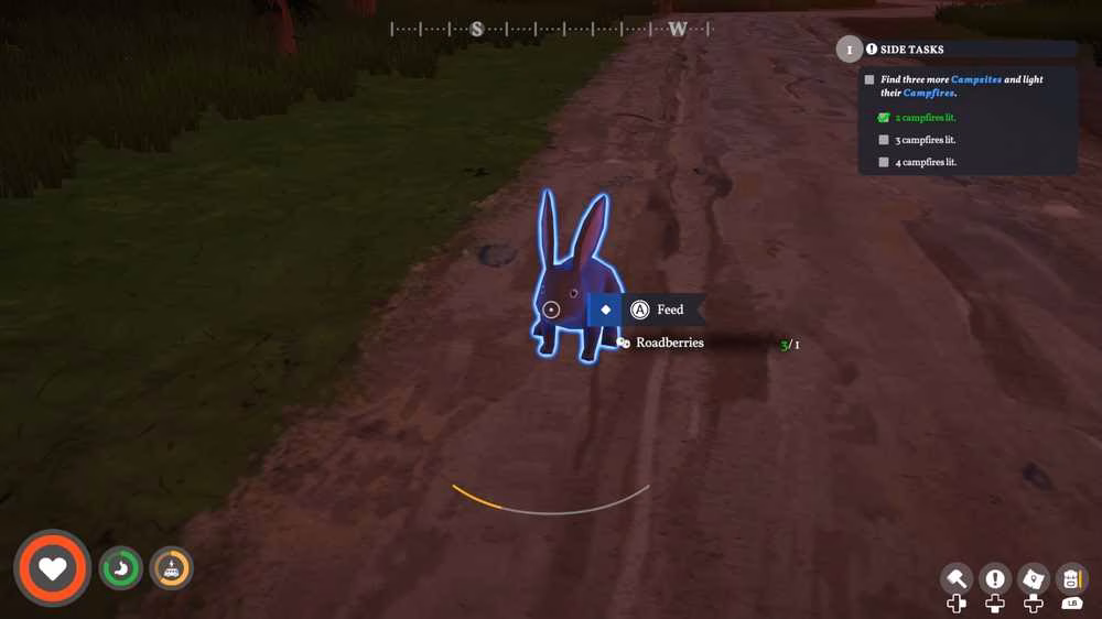 feeding rabbits in outbound
