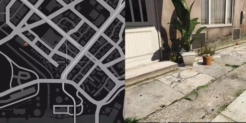 Localiza&ccedil;&atilde;o 11 da planta de peiote