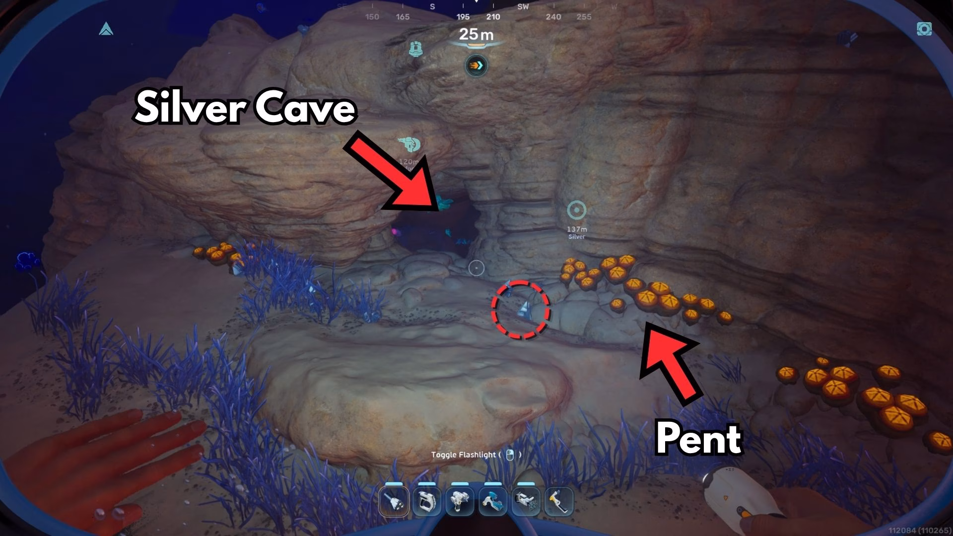 subnautica 2 silver location (3)