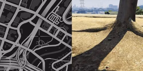 Localiza&ccedil;&atilde;o 24 da planta de peiote