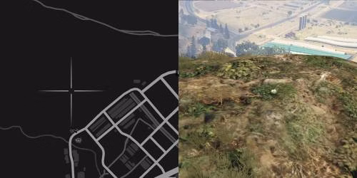 Localiza&ccedil;&atilde;o 76 da planta de peiote