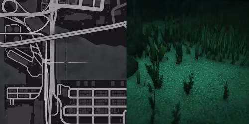 Localiza&ccedil;&atilde;o 5 da planta de peiote
