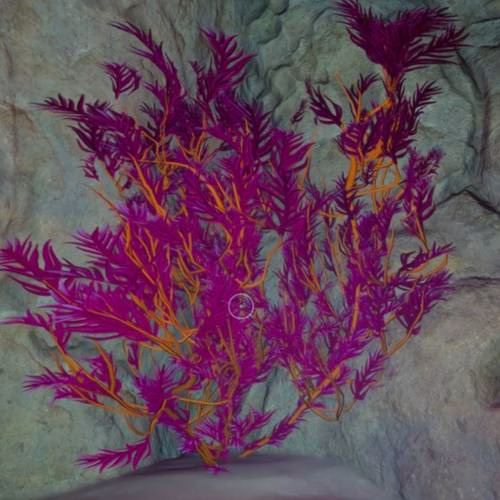 feather kelp subnautica 2