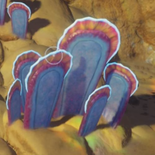 macaron sponge subnautica 2