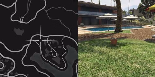 Localiza&ccedil;&atilde;o 35 da planta de peiote