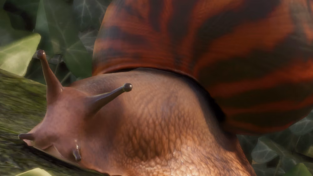 Caracol-tigre-gigante em Planet Zoo 2
