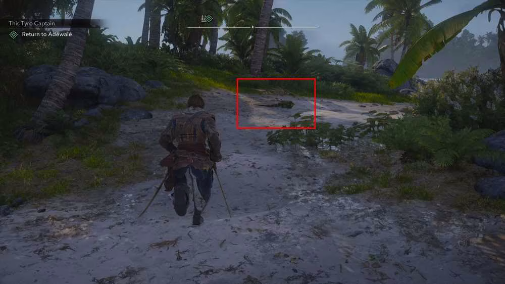 iguana in black flag resynced