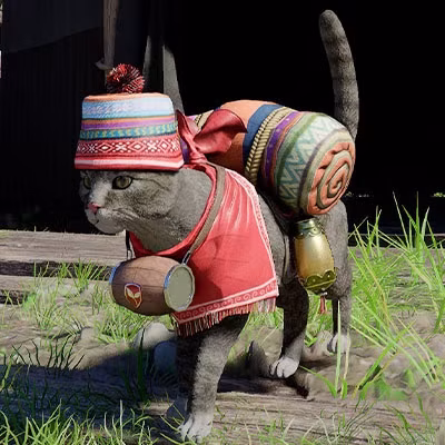 Peddler Cat Outfit