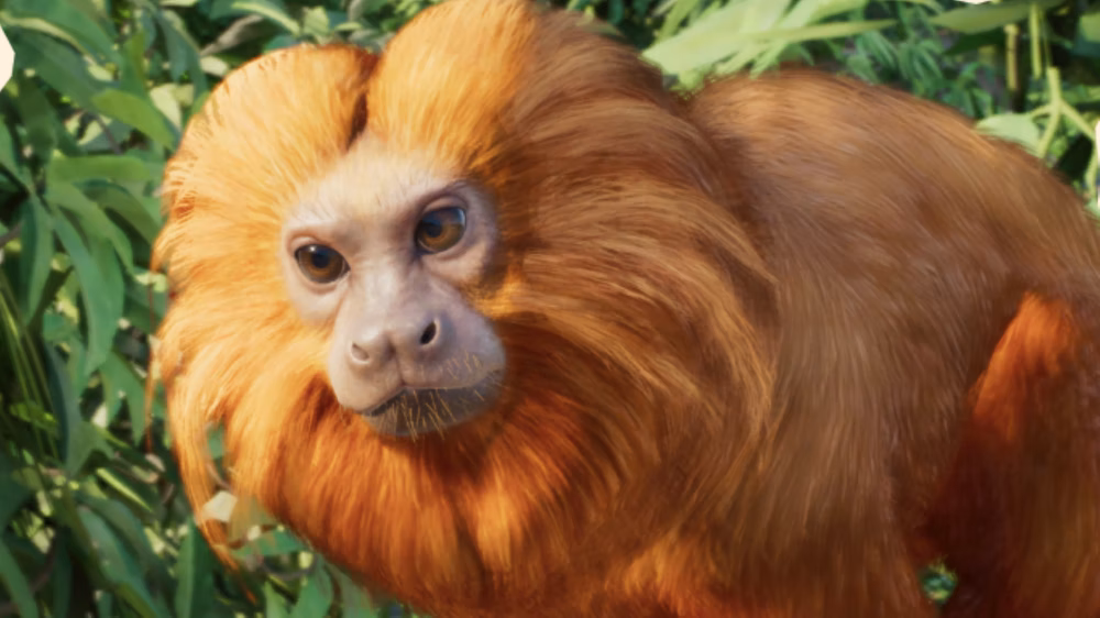 Sagui em Planet Zoo 2