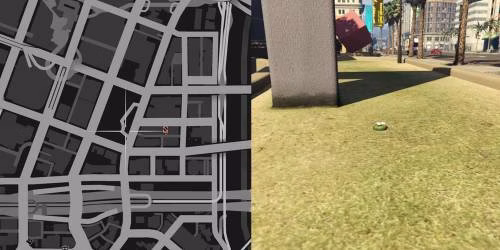 Localiza&ccedil;&atilde;o 25 da planta de peiote