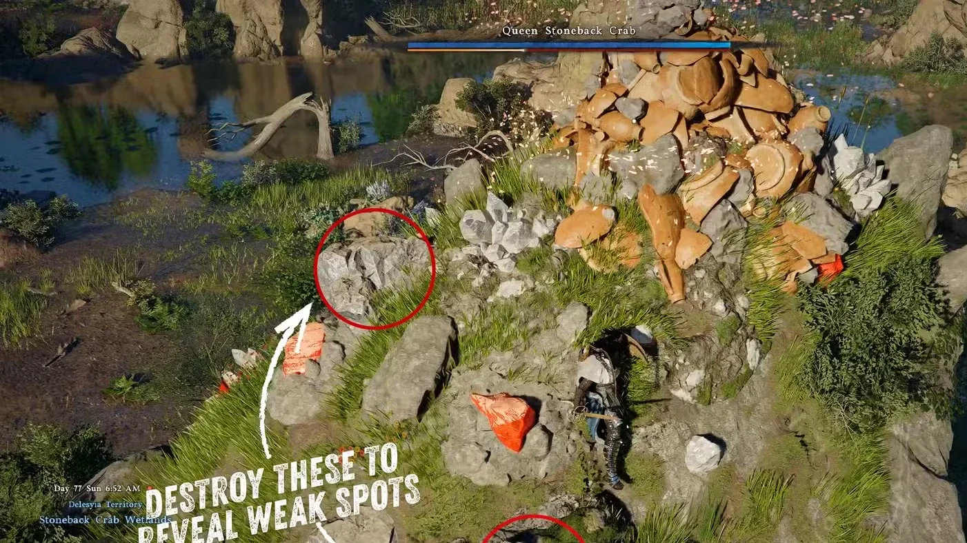 Queen Stoneback Crab Location & Boss Guide in Crimson Desert