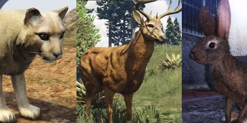 Animais terrestres de GTA Online transformados pelas plantas de peiote