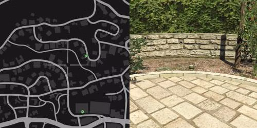 Localiza&ccedil;&atilde;o 36 da planta de peiote