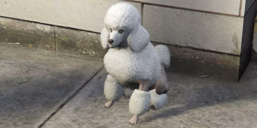 gta-online-poodle