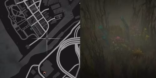 Localiza&ccedil;&atilde;o 14 da planta de peiote