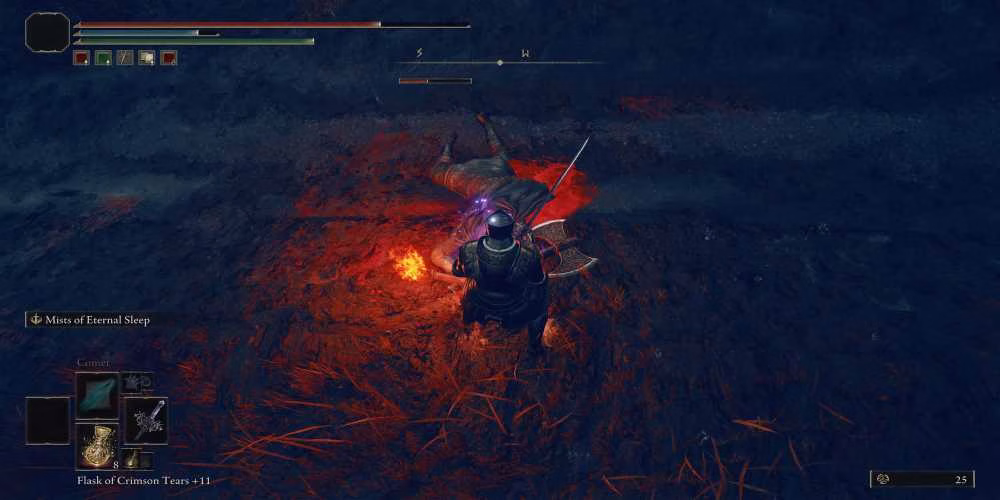The Player Standing Over an Eternally Sleeping Enemy