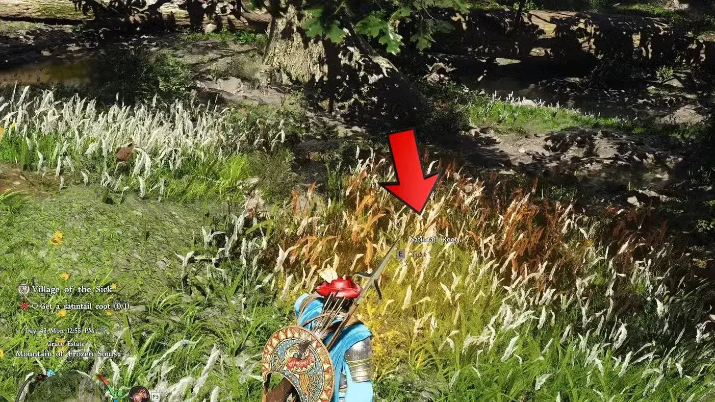 How to Get Satintail Root in Crimson Desert (Village of the Sick)
