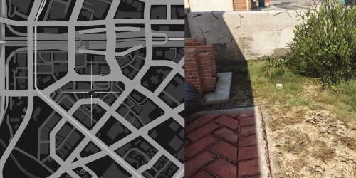 Localiza&ccedil;&atilde;o 12 da planta de peiote