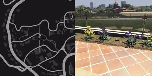 Localiza&ccedil;&atilde;o 37 da planta de peiote