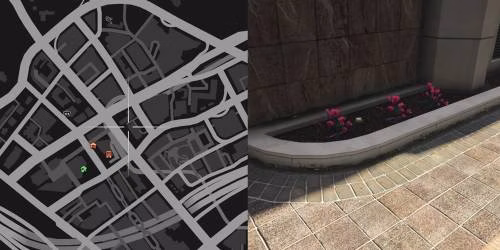 Localiza&ccedil;&atilde;o 19 da planta de peiote