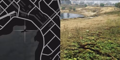 Localiza&ccedil;&atilde;o 50 da planta de peiote