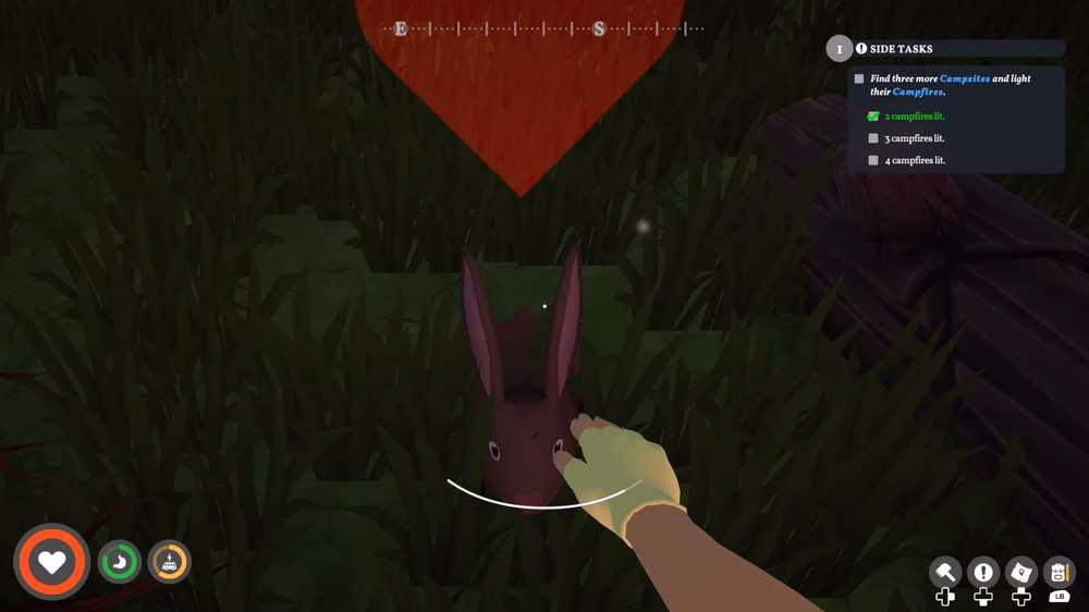 petting a rabbit in outbound