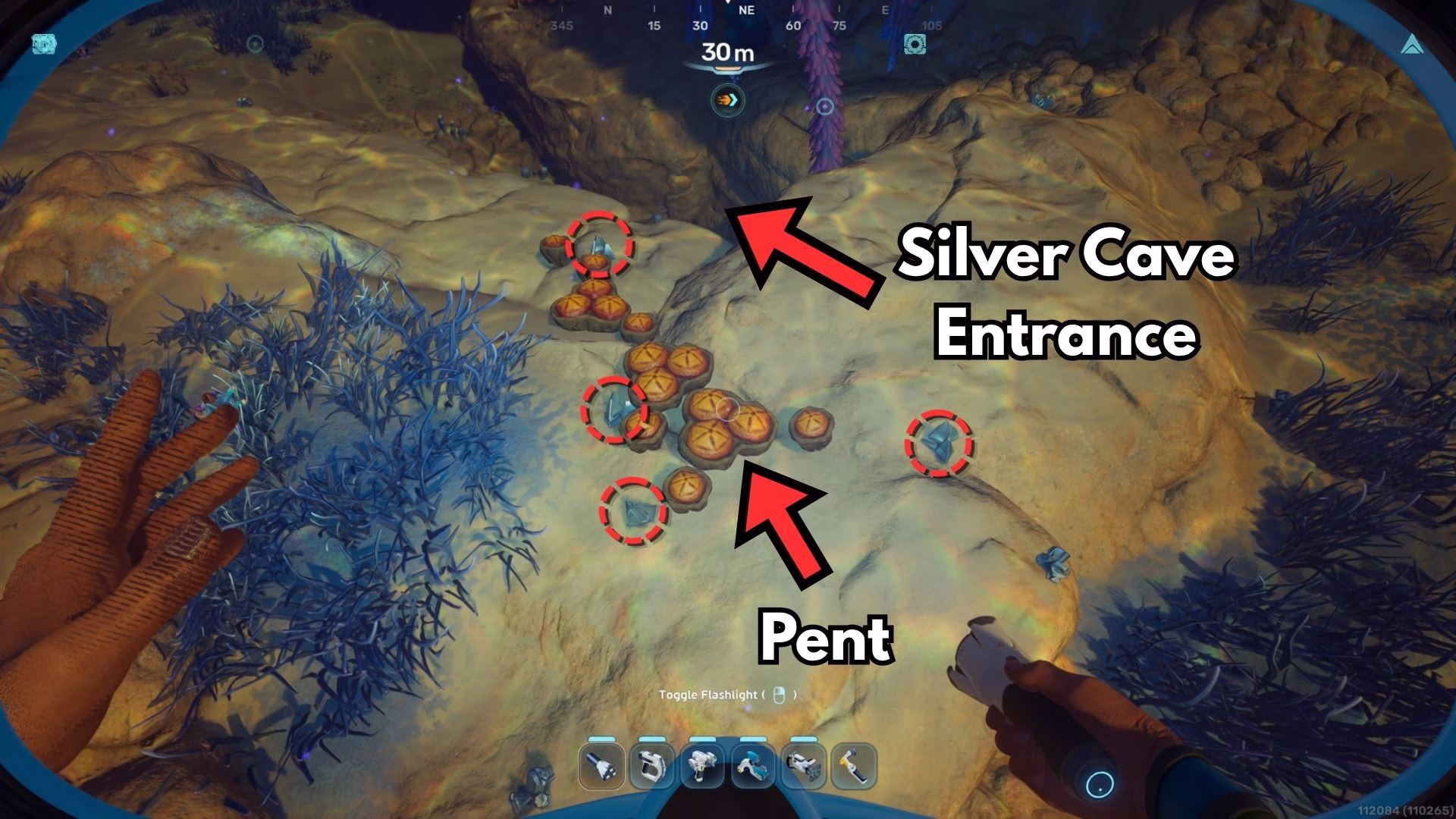 subnautica 2 silver location (2)